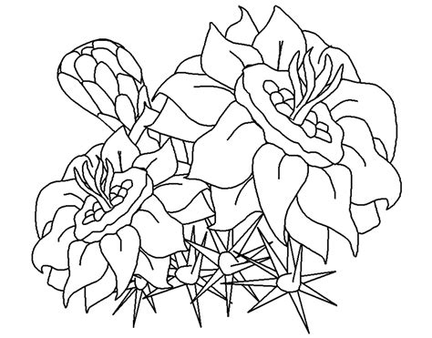 Free Printable Flower Coloring Pages For Kids  Best Coloring Pages For