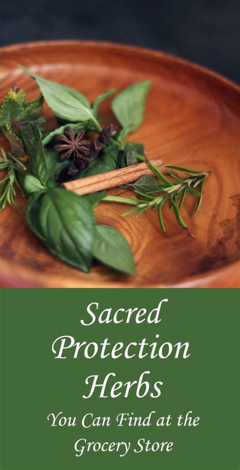 9 Sacred Protection Herbs And Spices To Know Moody Moons