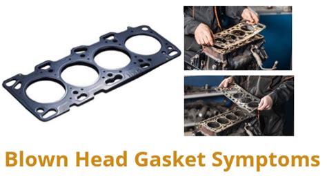 Damaged Or Blown Head Gasket Causes And Symptoms Findcarsolution