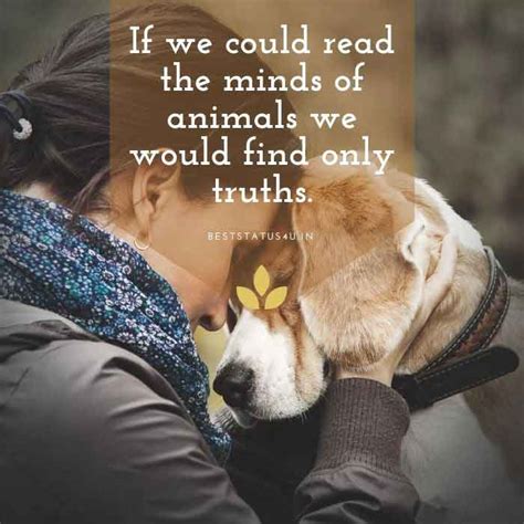50 Best Animal Lover Quotes That Touch Your Heart
