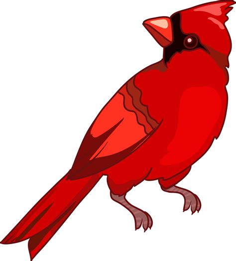 Cardinal Flying Clipart