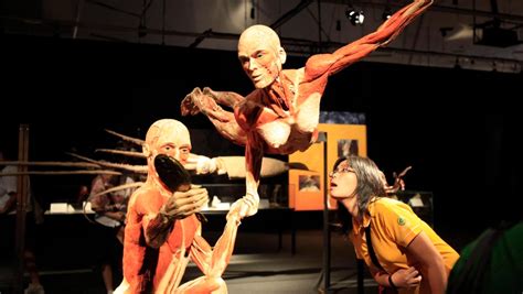 Exhibit Of Plastinated Human Corpses Opens Without Controversy At