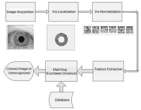 Flowchart Of Iris Recognition System Using Feature Extraction From