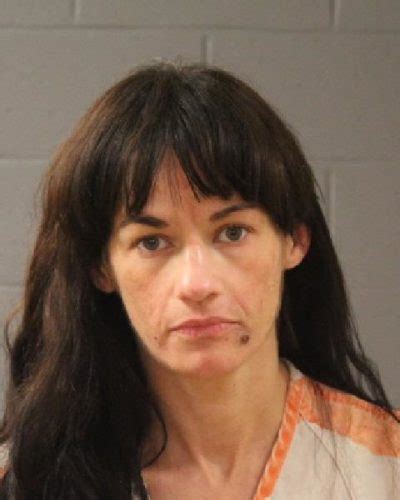 Local Woman Faces Multiple Felony Charges After Allegedly Breaking Into