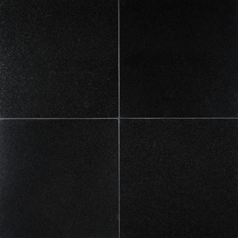 Msi Absolute Black 12 In X 12 In Polished Granite Stone Look Floor