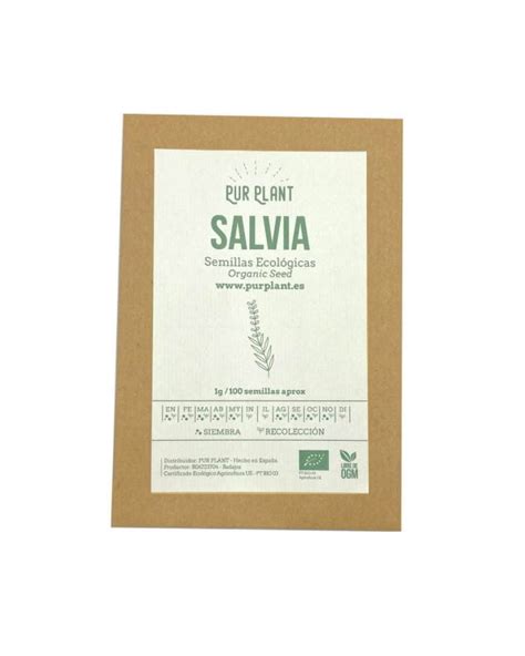 Semillas De Salvia Comprar Online Pur Plant