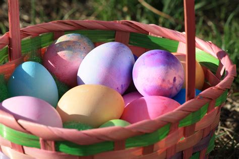 Colored Eggs In Easter Basket Picture Free Photograph Photos Public