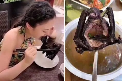 Coronavirus Chinese ‘bat Soup Influencer Whose Gruesome Video