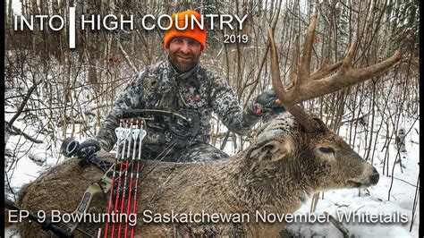 Bowhunting Saskatchewan November Whitetails Youtube