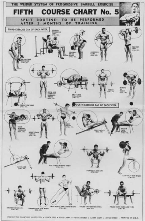 The Weider System Of Progressive Barbell Exercice Chart 5 First Half