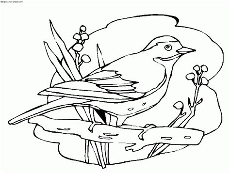 Dibujos Sin Colorear Dibujos De Pájaros Para Colorear