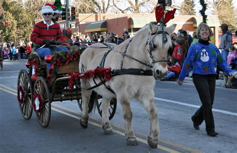 Braymere Custom Saddlery Carriages At The Christmas Carriage Parade
