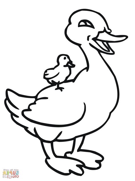 Oregon Ducks Drawing at GetDrawings | Free download