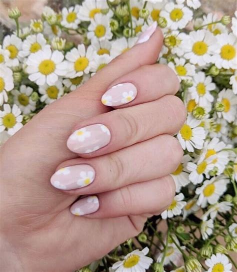 Daisy Designs On Nails Calorie