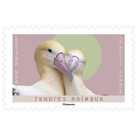 Timbre 2023 Tendres Animaux Wikitimbres