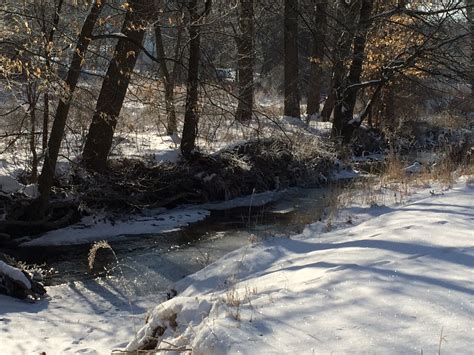 Winter Scene At A Stream Paesta