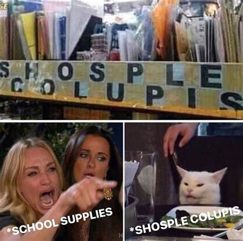 Shopsle Colupis Woman Yelling At A Cat Know Your Meme
