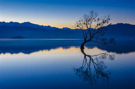 Nature Landscape Calm Bluewater Trees Lake