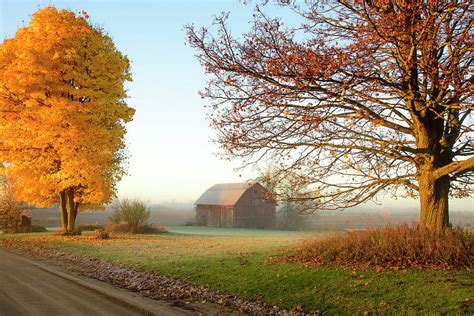 Country Morning Photograph By Sheila Murphy