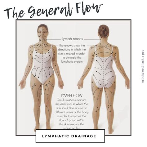 8 Easy Steps For Lymphatic Drainage — Enlighten Bodhi Spa Lymphatic Drainage Lymphatic Lymph