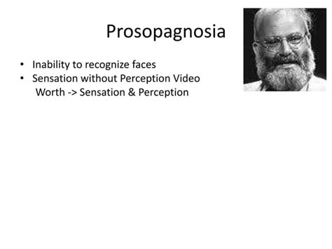 Introductory Psychology Sensation And Perception Vision Ppt