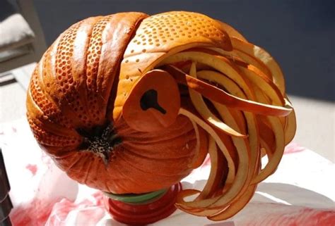Ten Pumpkins Made To Look Like Animals Halloween Special