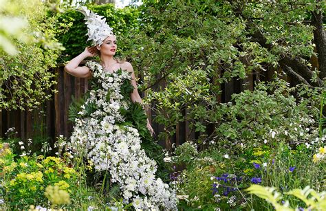 Chelsea Flower Show 2016 Everything You Need To Know Ibtimes Uk