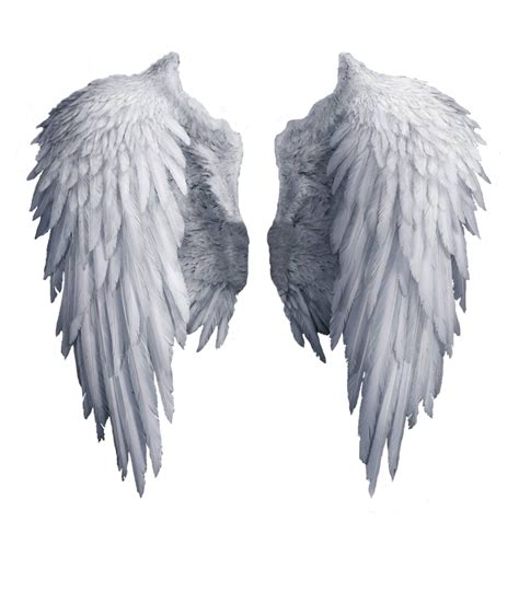 Png Wings Angel White Angel Wings Free Download