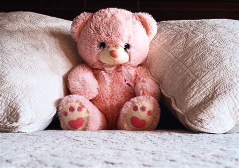 Teddy Bear On The Bed Stock Photo Image Of Playful 143837280