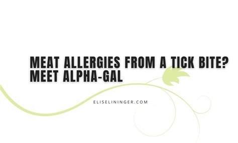 Meat Allergies From A Tick Bite Meet Alpha Gal — Elise Detox Life