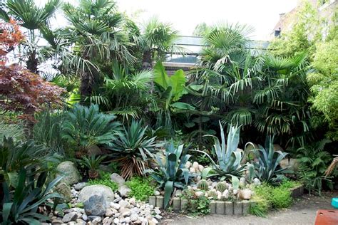 Tropische Tuin In Prinseneiland Jaap Cost Budde Flickr