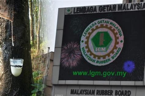 Jawatan kosong mais (majlis selangor zakat) bertujuan jawatan kosong bagi jawatan anda di mais warga peribumi malaysia. Jawatan Kosong Lembaga Getah Malaysia - Apply Job Here ...