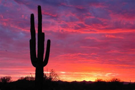 Sunset And Arizona Sunrise Pictures