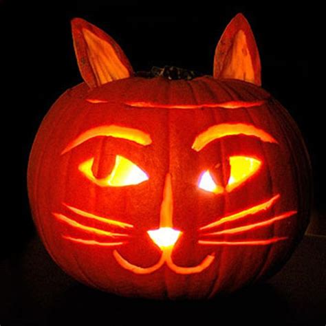 In fact, in addition to being a fantastic treat, it offers major health benefits to your feline. 6 Cat-Themed Jack-o-Lantern Ideas for You and Your Kids ...