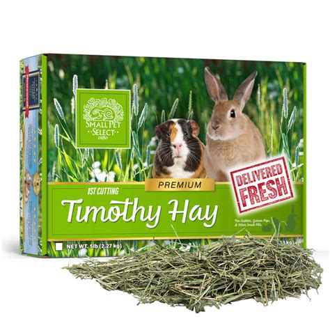 Premium Timothy Hay For Rabbits And Guinea Pigs Small Pet Select Us