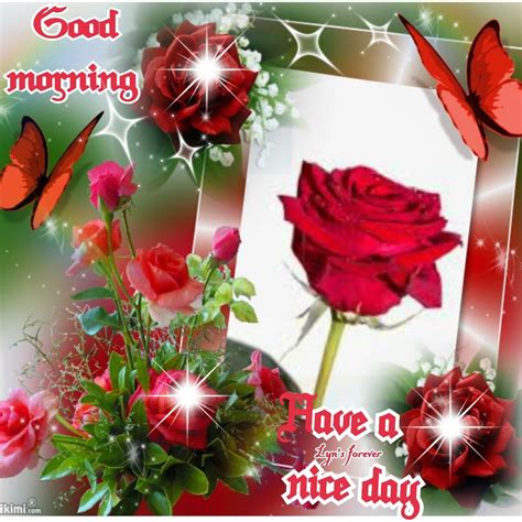Good Morning Have A Nice Day Roses And Butterflies Pictures Photos