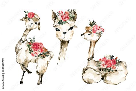 Boho Llamas Clipart Watercolor Llama Birthday Love Llamas Boho