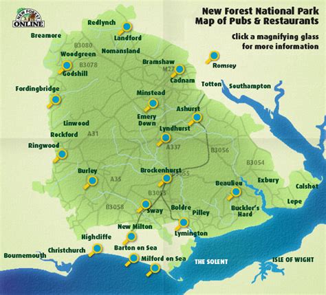 Forest is an app that allows you to plant a tree whenever you want to focus on your work. Pubs and Restaurants in the New Forest National Park