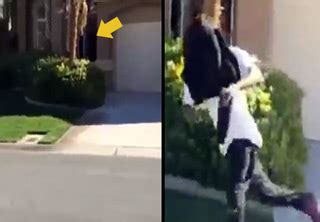 Woman With Cameras Pointed At Neighbor S Yard Is Not Breaking Any Laws