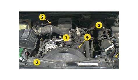 under the hood car parts diagram