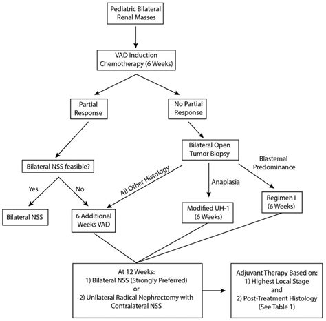 Surgical Management Algorithm For Bilateral Wilms Tumor Download