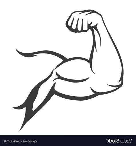 The Best Free Muscle Vector Images Download From 166 Free Vectors Of