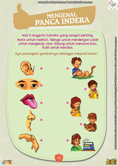 Download buku belajar membaca anak sd kelas 1.download buku pelajaran sd kelas 1 pdf dan apk file download buku pelajaran sd kelas 1 pdf dan apk ini merupakan berkas yang kami sediakan untuk para pengajar terutama guru guna melengkapi dokumentasi atau sebuah bahan yang bisa dijadikan sebagai referensi dalam. Mengenal Panca Indera | Ebook Anak
