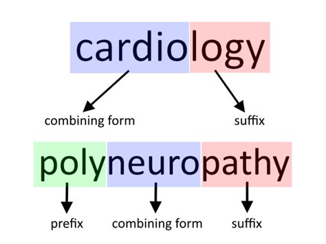 How To Understand Medical Terminology