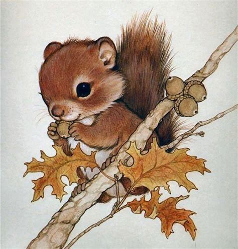Pin By Kathy Jo On Cute Animals Ko Squirrel Art Animal Drawings