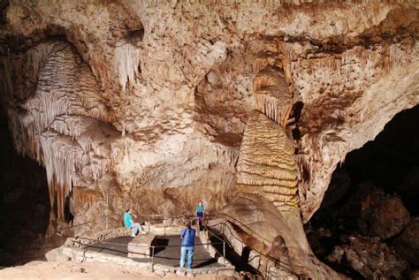 Carlsbad Caverns Explore 119 Caves And Desert Beauty Wnpa