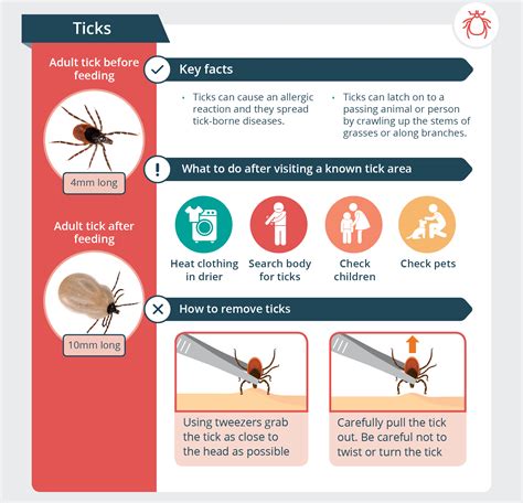 How To Treat Tick Bites