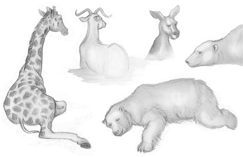 All symbols in one place. Animal Drawings