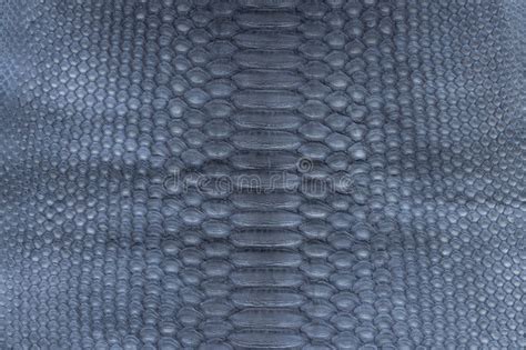 309 Genuine Python Snakeskin Leather Snake Skin Texture Background