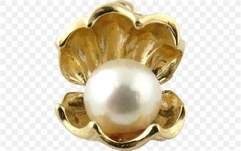Giant Clam Pearl Seashell Jewellery Png 515x515px Clam Body Jewelry